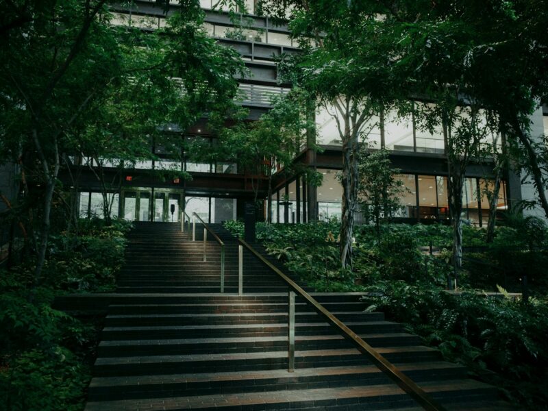 Modern building entrance surrounded by lush green trees.