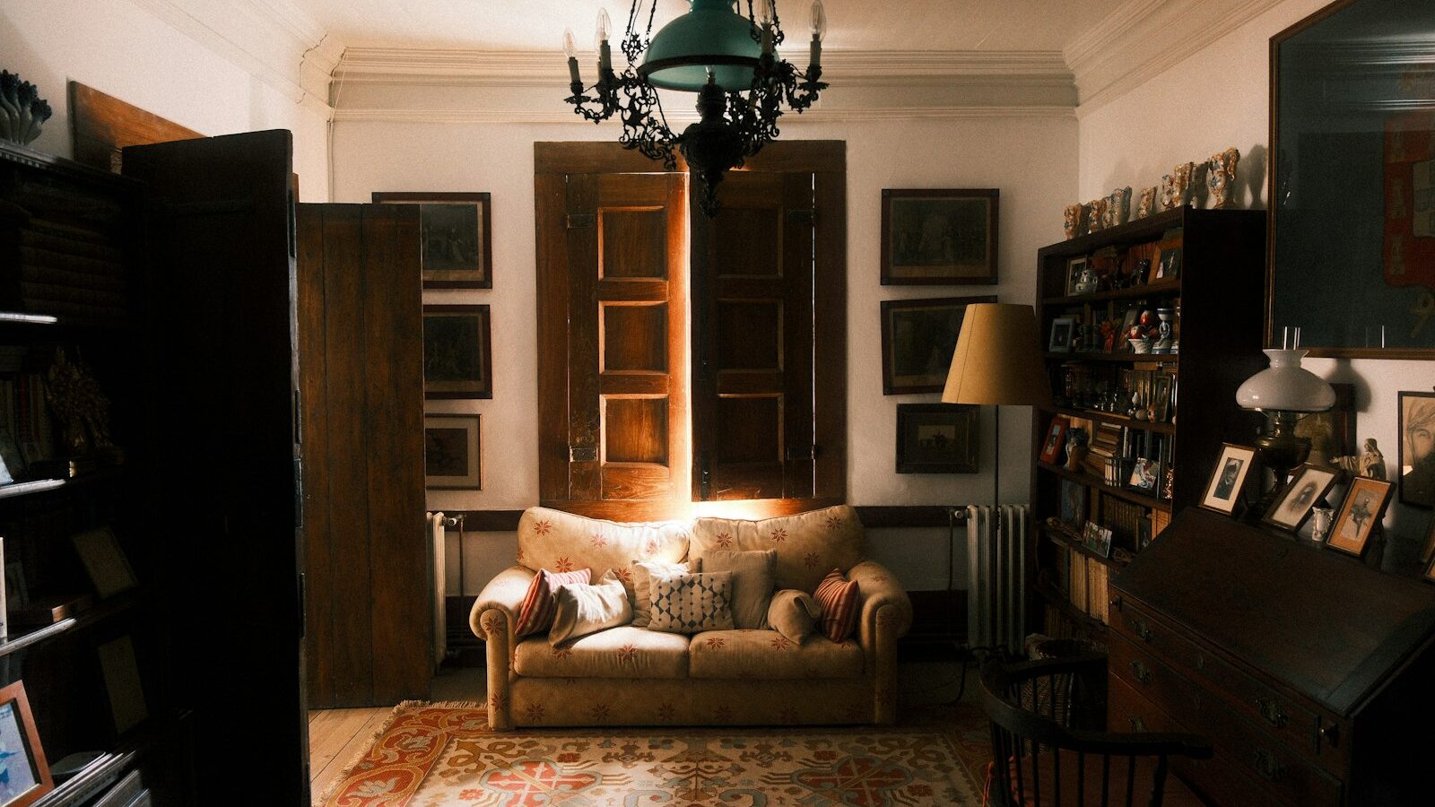 Cozy living room with sofa and bookshelves