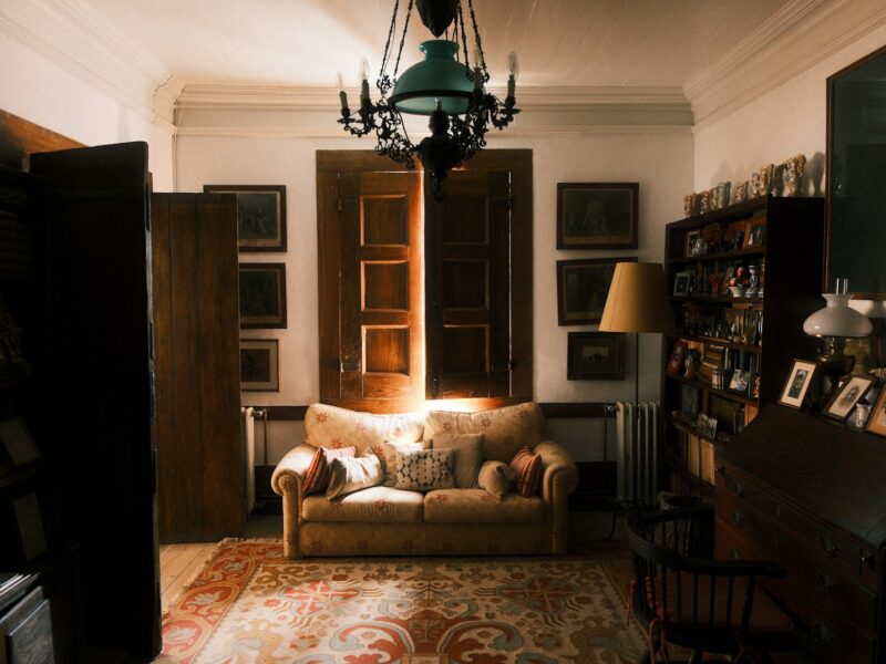 Cozy living room with sofa and bookshelves